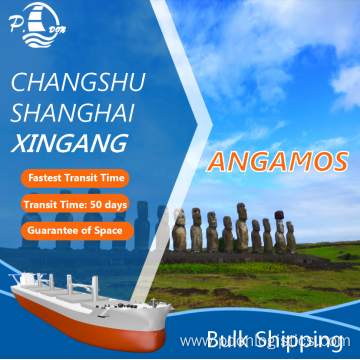 Bulk Shipping From Tianjin To Angamos